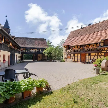 Petit'gite - Le Bouton D'or Issenhausen